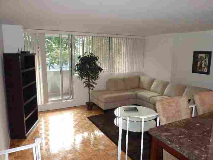 Gorgeous 3 1/2 Apartment for Rent - Downtown Montreal