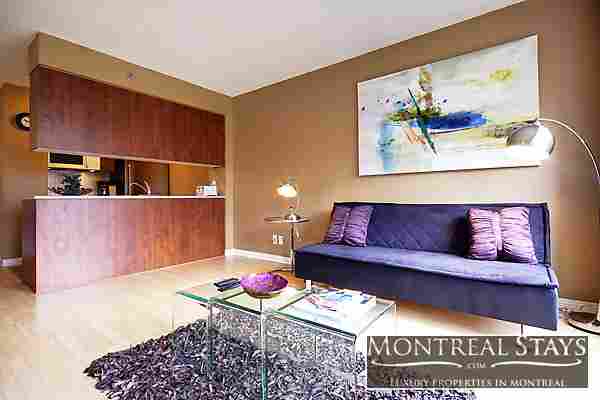 Luxury apartment in downtown, close to all services, furnished