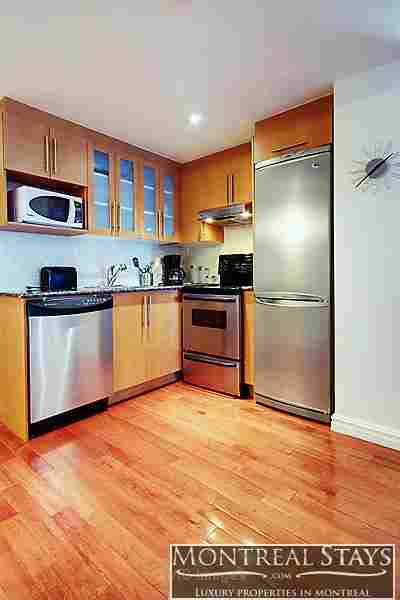 Nice Big studio in Downtown montreal