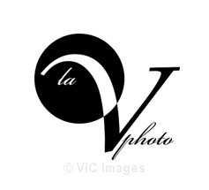 La V Photo / La V Cinema - Wedding Photography
