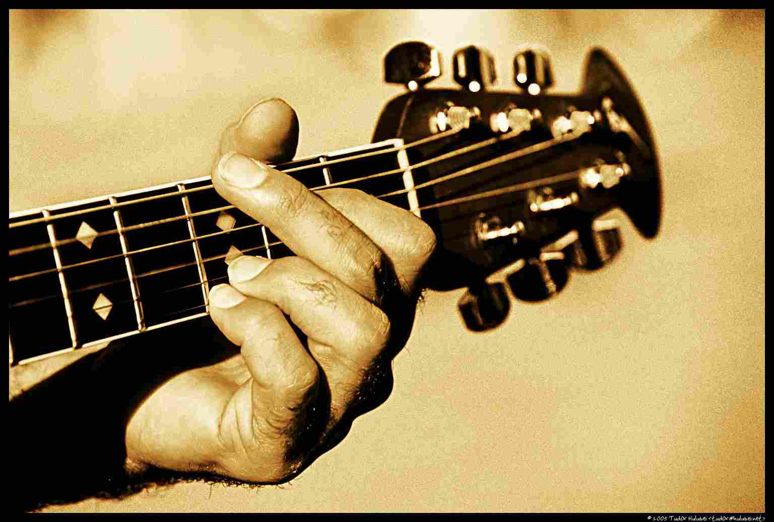 Guitar Bass Theory lessons 17$ .5hr, 22$ .75hr, 25$ hr