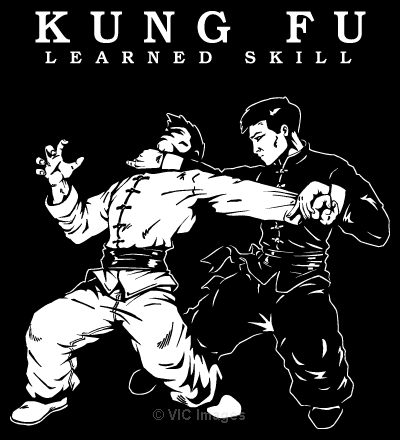 SPECIAL LOW RATE! Come and Join Kung Fu, Fitness lesson! (Montreal, West Island)