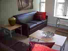 One room available for subletting at 515 Ste Catherines May-Aug