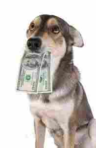 Get Your Share of ENDLESS $60 Payments; FREE