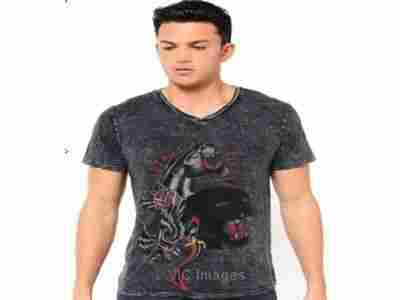 Paul & Shark, Burberry, Ed hardy, Lacoste, Louis vuitton, Akoo, Jeep t-shirts