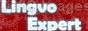 Translating agency Lingvo Expert (11 languages at reasonable price)
