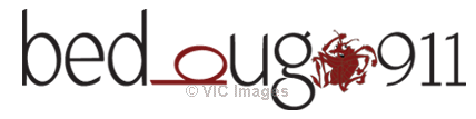 bed bug products