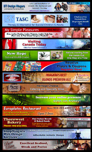 Interactive custom Banner design (Static, Flash, media rich, gif) ? from $30