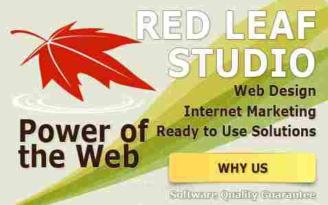 Web Designer/Web developer-I can do whatever kind of site you want