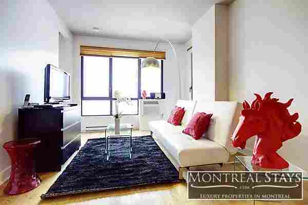 Luxurious Furnished One Bedroom