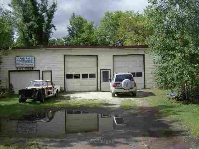 Classic Mustang business for sale