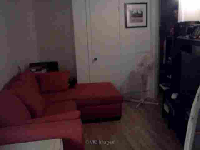 $535 / 1br - LARGE 3 1/2 Immediately (this month free) (Hochelaga-Maisonneuve)
