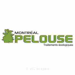 Technicien en entretien de pelouse
