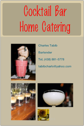Cocktail Bar Home Catering