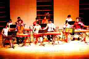 Chinese instrument lesson guzheng and erhu