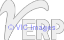 Best Point of Sale Software in Kolkata