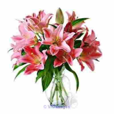 Flowers delivery to Hyderabad
