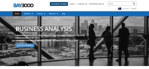 Business Analysis Consultancy In Canada