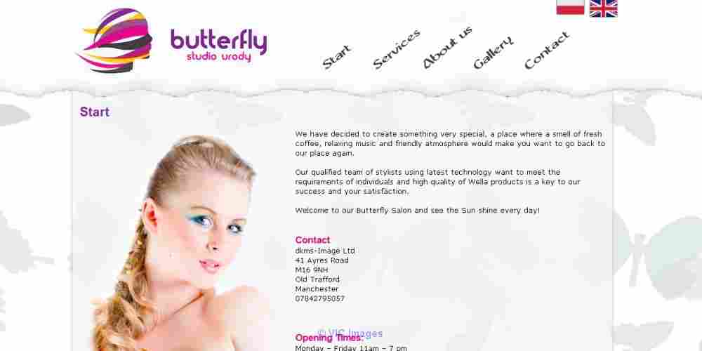 Professional website services