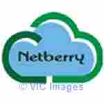 Netberry Technologies | offers | Webdesign and Web Development
