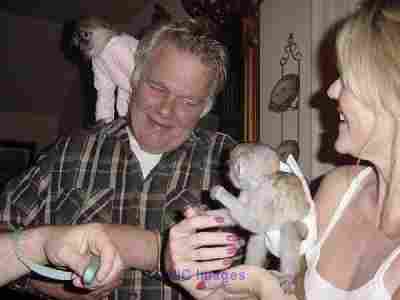 Bebes Singes Valable Pour Adoption