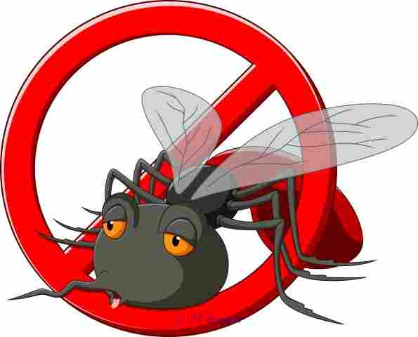 Extermination Montreal Max