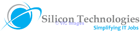 online it training @ silicongiant.com