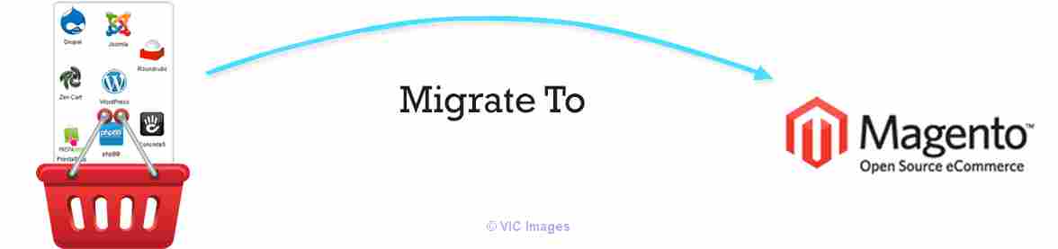 Magento Migration Service
