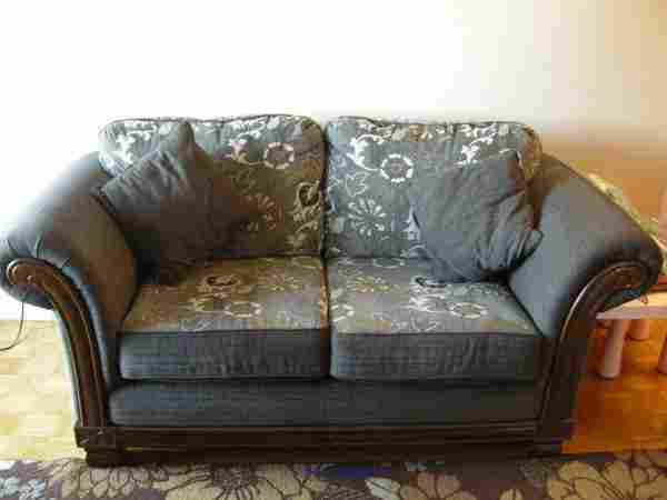 Hazel Sofa / Loveseat looking for new home