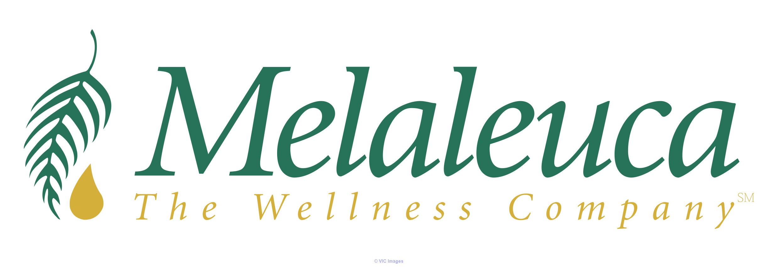 Melaleuca Opportunité de la maison