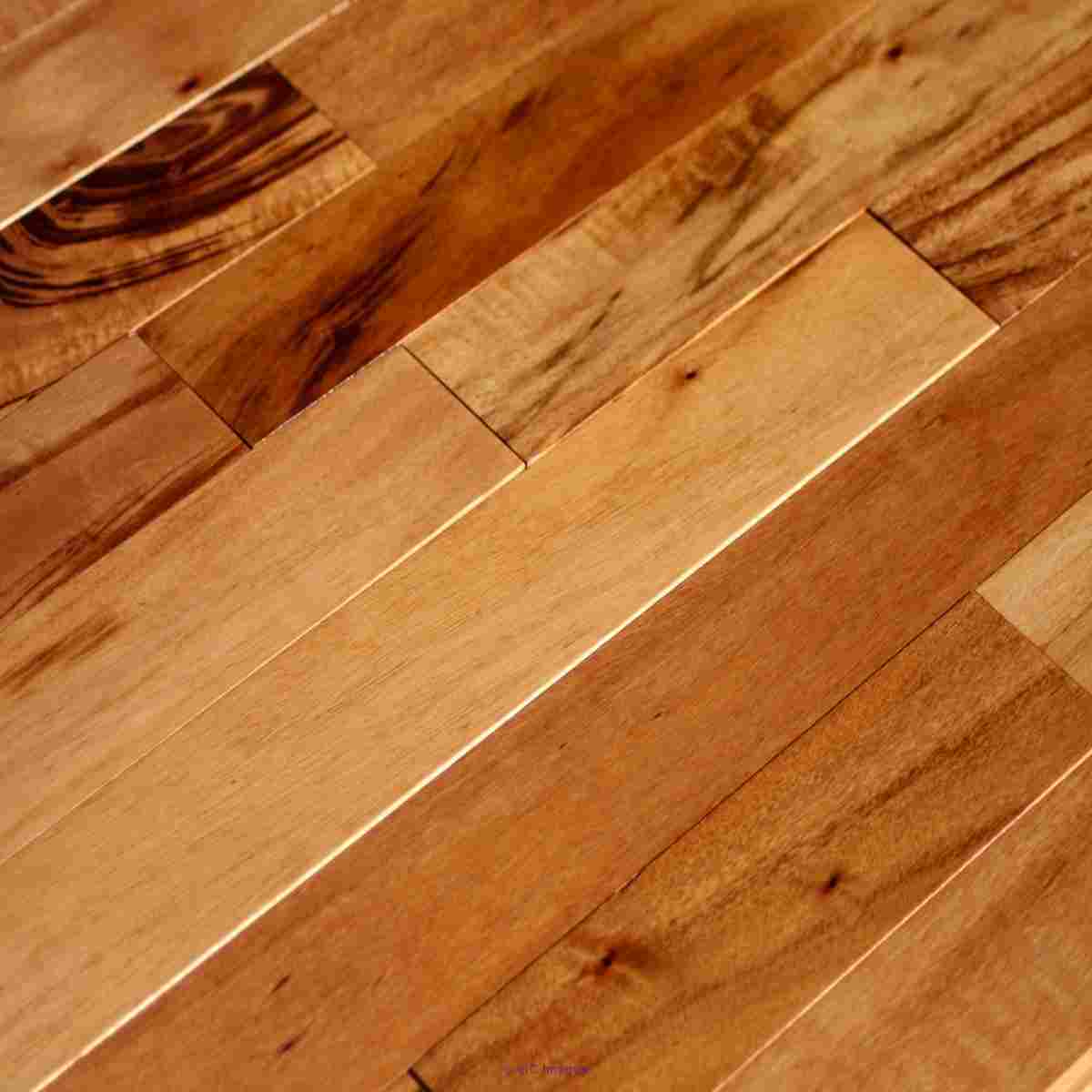 Clearance!!  Brazilian Tigerwood 5”, only $4.75!!