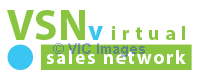 Virtual Sales Network