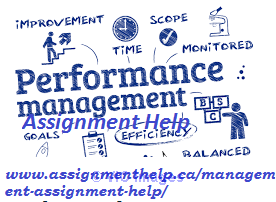Management Assignment Help