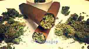 POT 420 FOR SALE