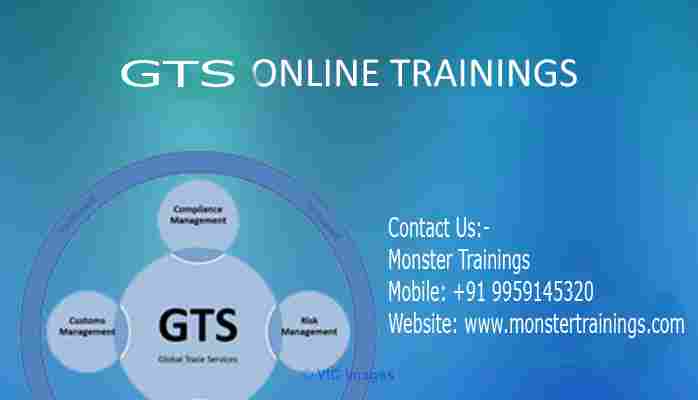 SAP GTS Online Training Classes