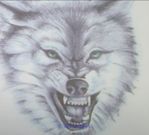 Piercing studio in Mississauga