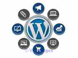 Hire WordPress Developer India