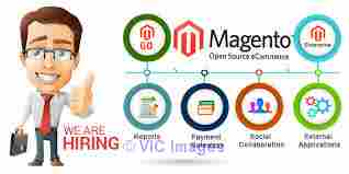 Hire Magento Developer - Hire Php Developers