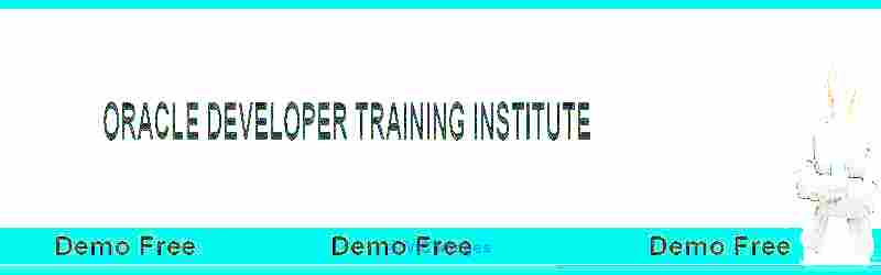 Oracle Developer Training Institute, Oracle Developer Training