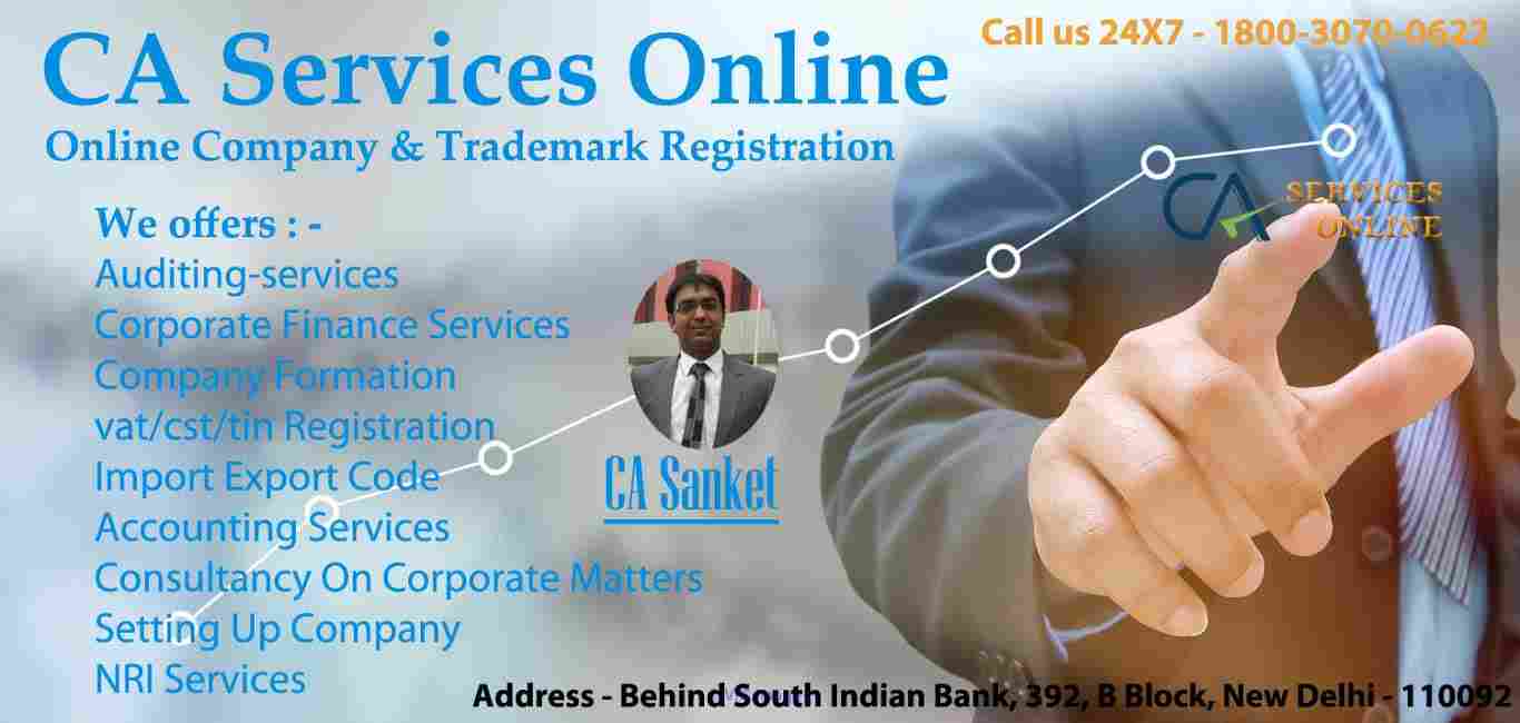 Chartered Accountant Services Online in Delhi