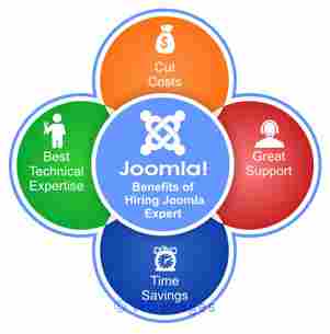 Hire Joomla Developer