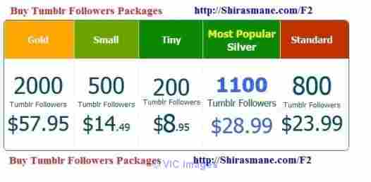 Buy tumblr followers cheapest 200 followers $8.95, 1100 followers $28.