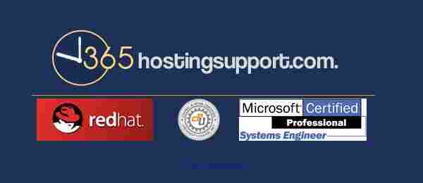Outsourced web hosting support