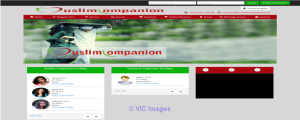 Choose to purchase Buy matrimonial script rather than hiring developer