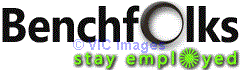 Placed in a CORE company by getting online training in the USA