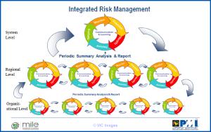 How to Leverage Risk Management to Conquer Project