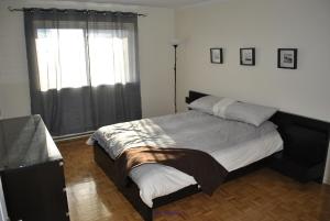  Great Studio (2 1/2) Apartment Downtown