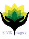 Caregiver Script 2.51
