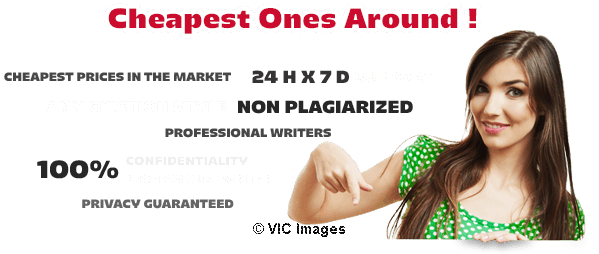 Cheap Essay Writing Services