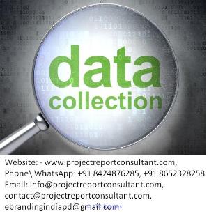 The Best Data Collection Services for Dissertation